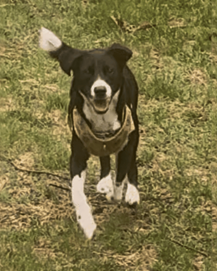 Maka — original photo